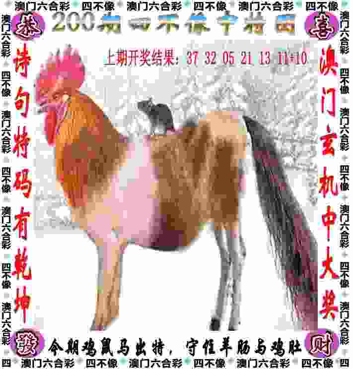 滑雪登山青年世界杯：中国队4金2铜 男子选手首次夺金